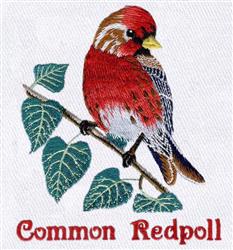 detailed bird machine embroidery pattern - Common Redpoll for kitchen tea towels