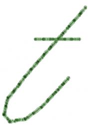 font quick stitch machine embroidery - Old Script Font t perfect for kitchen tea towels