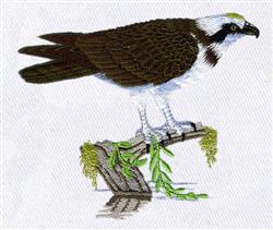 detailed bird machine digital embroidery pattern - Osprey perfect for kitchen aprons
