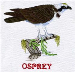 Osprey - 5x7 bird detailed machine embroidery design perfect for patchwork quilt blocks