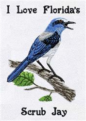 Colorful Scrub Jay perched on a brown branch, surrounded by green leaves in a detailed summer nature scene.