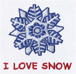 Winter Snowflake