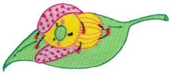 Leaf Bug