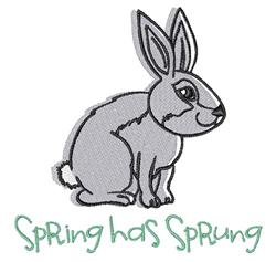 Playful grey rabbit in a sitting pose with large ears and friendly face, featuring 'Spring has Sprung' text.