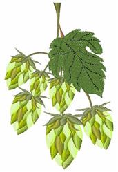 leaf detailed machine digital embroidery - Hops perfect for reusable tote bags