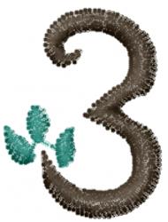 Three - 4x4 leaf quick stitch machine embroidery design perfect for reusable tote bags