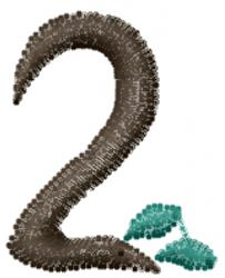leaf quick stitch machine digital embroidery - Two perfect for kitchen tea towels
