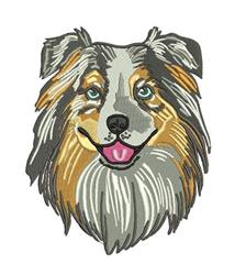 AUSTRAILAN SHEPHERD
