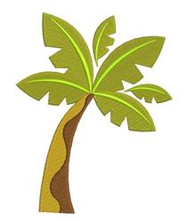Palm Tree
