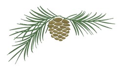 Naturalistic pinecone with earthy brown tones, nestled in slender green pine needles, perfect for autumn decor.
