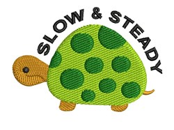 Slow & Steady