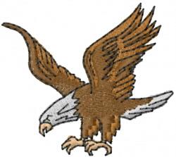 American bald eagle