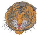 BENGAL TIGER FACE