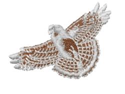 Realistic bird in flight with intricate brown and white feathers, showcasing detailed wings and motion.
