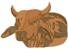 Bull