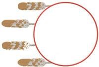 Circle feathers lg
