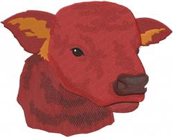 Cow Head