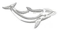 quick stitch smile machine embroidery pattern - Dolphin Smile for Beach Towels