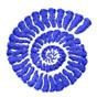 Fossil shell in a spiral form, elegantly styled in blue on a clean white background, perfect for modern embroidery projects.