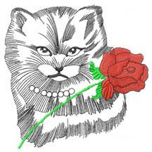 KITTEN WITH ROSE