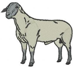 Realistic sheep portrait featuring gray and white colors with detailed outlines, ideal for nature-inspired decor.