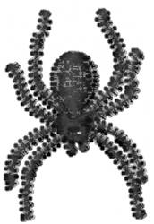 Realistic monochrome spider with intricate details, eight legs, and textured abdomen, perfect for Halloween decor.