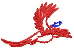 Stylized bird with a bold red outline and blue accent on its beak, featuring smooth lines for a modern look.