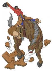 TEXAS RODEO