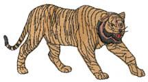 Realistic tiger walking with vibrant orange and black stripes, showcasing detailed fur texture.