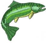 Realistic trout with detailed scales in green shades, depicting a lifelike swimming pose. Perfect for nature themes.