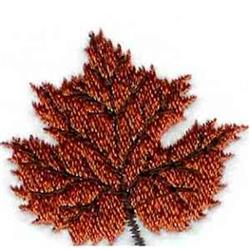 Fall Leaf