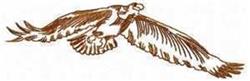 bird redwork machine digital embroidery - Redwork Eagle perfect for reusable tote bags