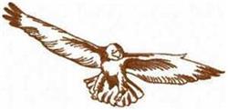 detailed bird redwork machine embroidery pattern - Redwork Eagle for patchwork quilt blocks