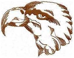 bird redwork machine digital embroidery - Redwork Eagle Head perfect for kitchen aprons