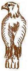 Redwork hawk standing with simple line art, highlighting feathers and natural brown tones.