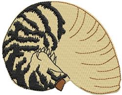 Nautilus Shell