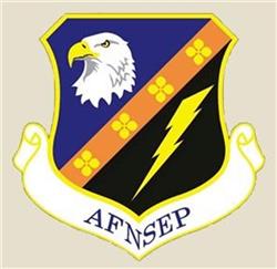 Detailed emblem featuring an eagle's head, bold lightning bolt, and flowers on a shield, perfect for military themes.