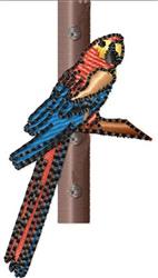 Parrot