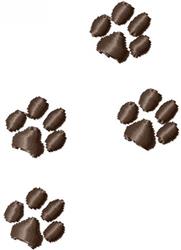 Paw Steps
