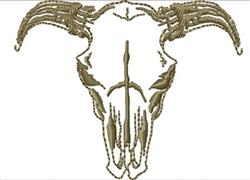 Steer Skull