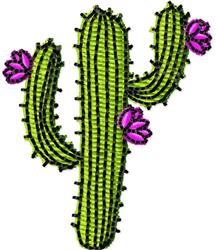 Cactus Bloom