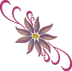 Flower Bloom