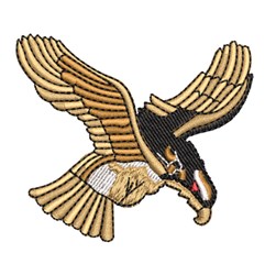 Golden Eagle
