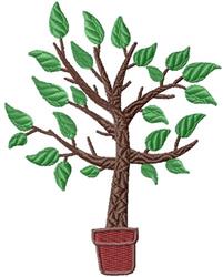 Potted Tree