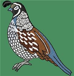 Quail for Hat