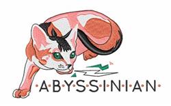 Abyssinian cat with vibrant pink and orange fur, striking green eyes, and bold 'ABYSSINIAN' text in a playful design.