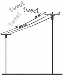 Minimalistic design featuring birds on a wire with playful 'tweet' text in varied orientations.