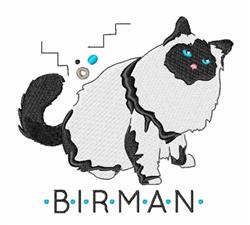 Playful Birman cat in a fluffy pose with black and white coat, 'BIRMAN' text, and whimsical geometric shapes.