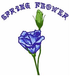 Colorful blue rose with green bud, spring theme, features vibrant shades, styled with spring flower text.