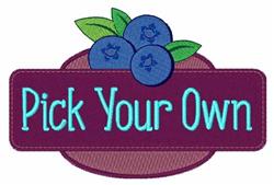 Three vibrant blueberries with green leaves on a rich purple background, featuring playful 'Pick Your Own' text for summer.